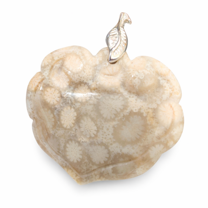 Natural Fossil Coral Heart Pendant 1.25 Inch – Agatized Coral Flower Pattern Stone With Silver Bail