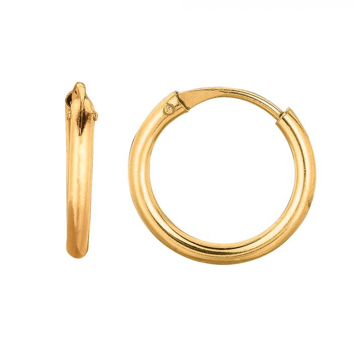10K Gold Mini Endless Hoop Earring
