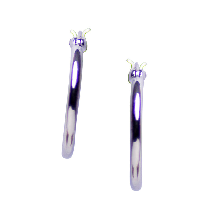 Silver Hoop Earrings